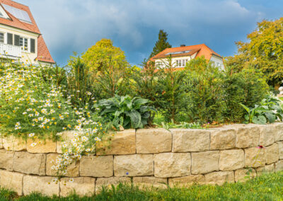 Trockenmauer (Badenweiler LB)