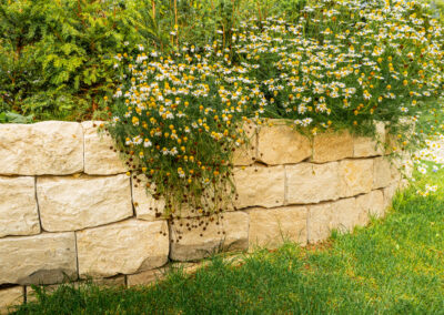 Trockenmauer (Badenweiler LB)