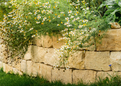 Trockenmauer (Badenweiler LB)