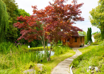 Garten Bepflanzung