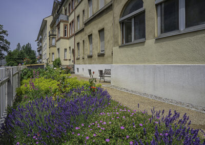 Eldorado für Insekten und Bienen (Freiburg SCH)
