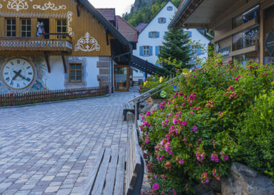 Hotel Pflege Wege und Pflanzen (Schwarzwald)