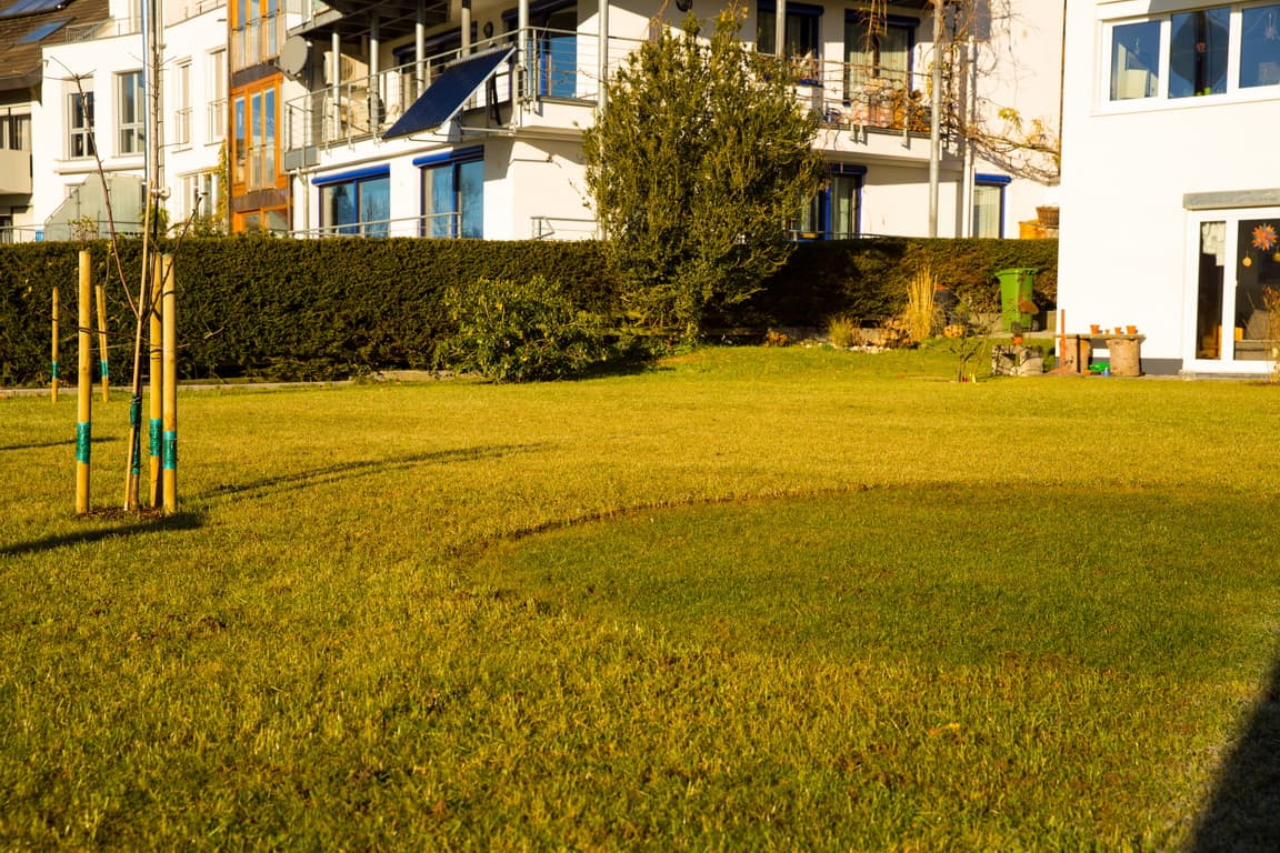 Naturnaher Rasen / Wiese mit abgesetztem Spielkreis (Spätherbst)