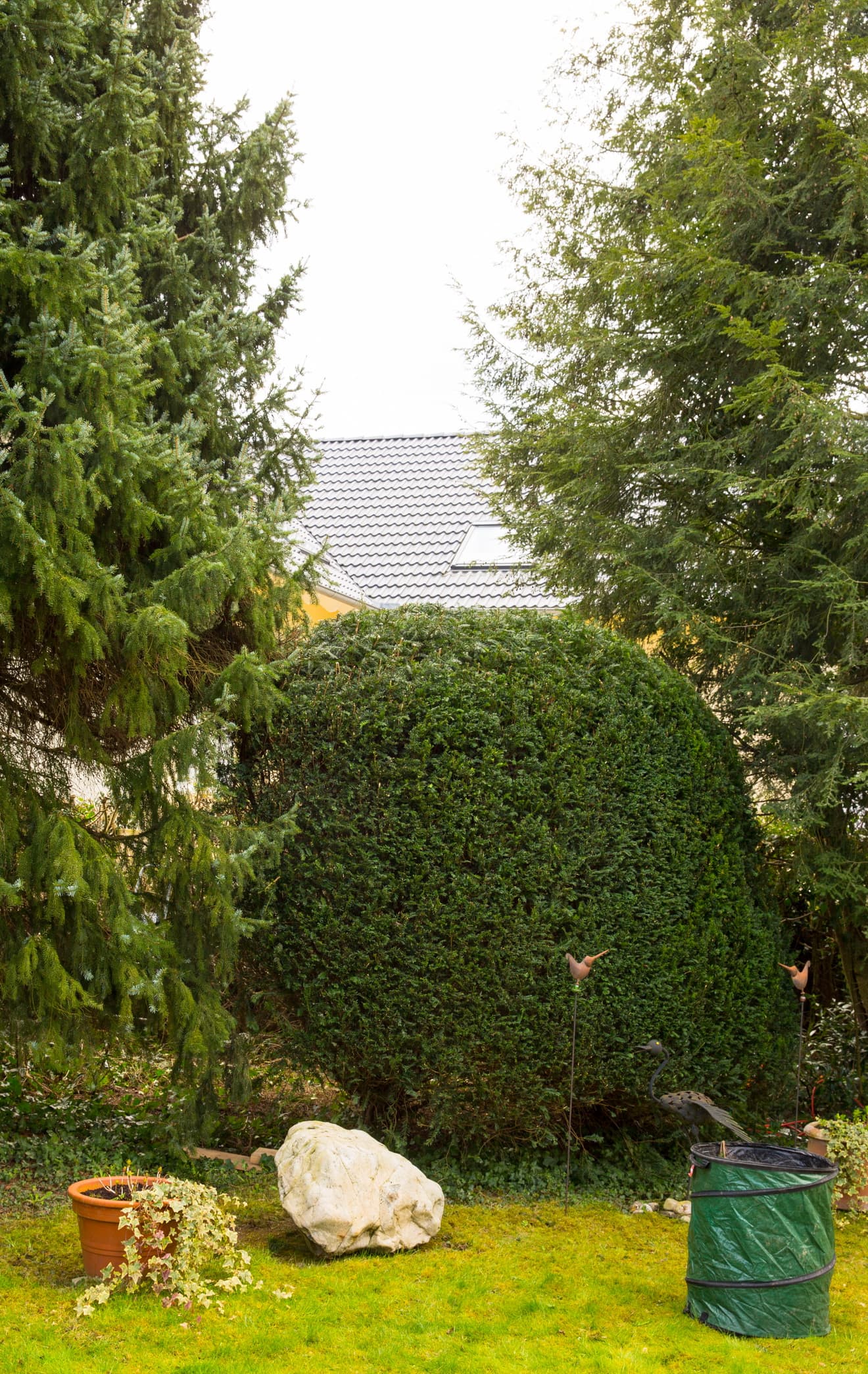 Gartenpflege Bäume und Sträucher NACHHER (Bad Krozingen SE)