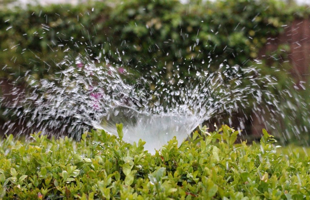 Rasen wässern G&L Gartenlandschaft