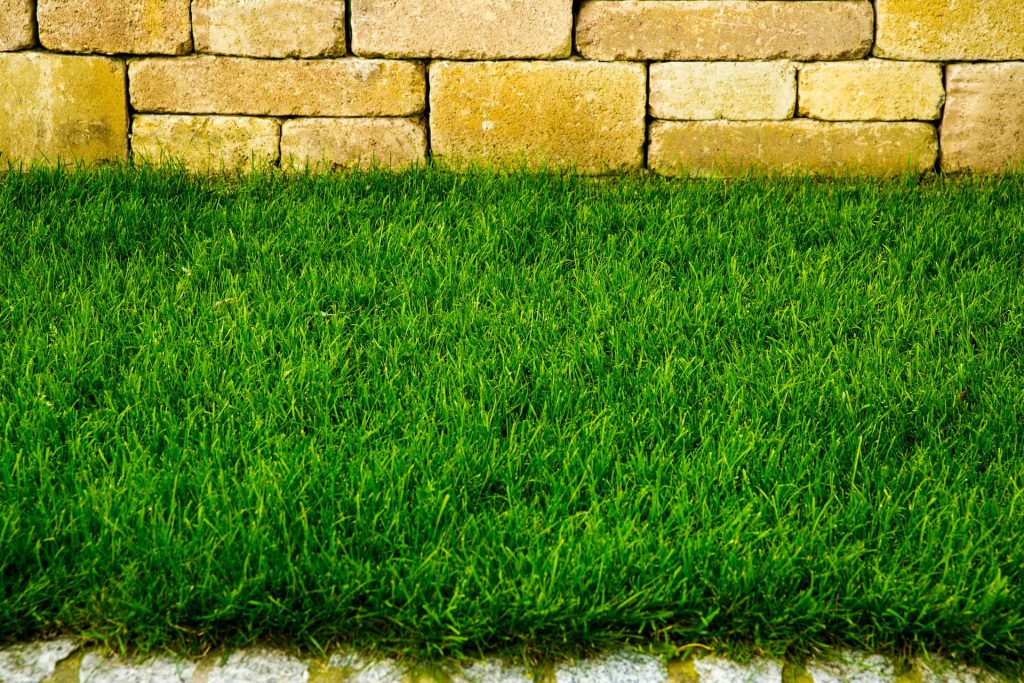 Rasen | G&L Gartenlandschaft